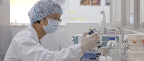 Gripe aviar gripe aviar