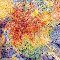 Tess Parks estrena Koalas como nuevo single con videoclip