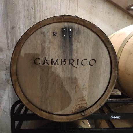 Cambrico 575 Uvas 2020 Cambrico 575 Uvas 2020
