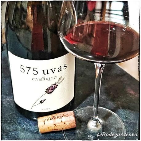 Cambrico 575 Uvas 2020 Cambrico 575 Uvas 2020