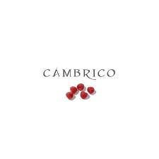 Cambrico 575 Uvas 2020
