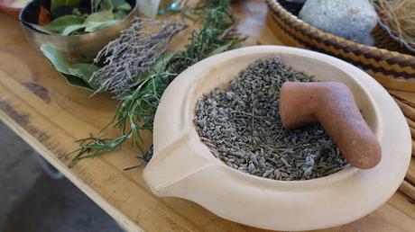 CONFECTIO GARI O CÓMO CONSEGUIR GARUM DE FORMA RÁPIDA CONFECTIO GARI O CÓMO CONSEGUIR GARUM DE FORMA RÁPIDA