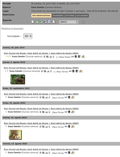 Cuco en el Parc Fluvial Besòs: Un encuentro recurrente.