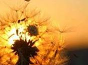 5.912 escapa amor...