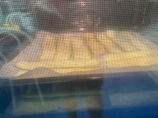 ROLLITOS DE CALABACÍN CON RICOTTA Y TOMATE