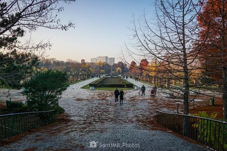 La Isla de las Rosas