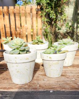 Macetas pintadas con salpicado de color Macetas pintadas con salpicado de color