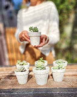 Macetas pintadas con salpicado de color Macetas pintadas con salpicado de color