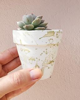 Macetas pintadas con salpicado de color Macetas pintadas con salpicado de color