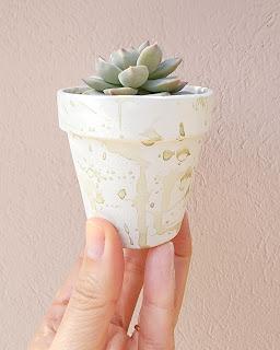 Macetas pintadas con salpicado de color