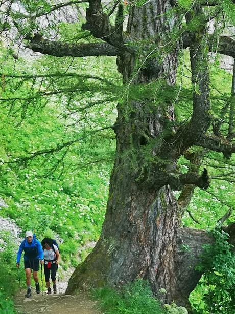 Alpes Suizos (día 1): Circular al Grand Chavalard