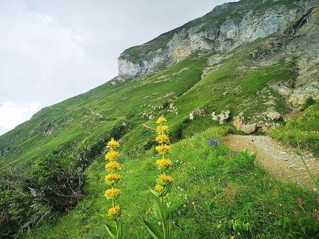 Alpes Suizos (día 1): Circular al Grand Chavalard