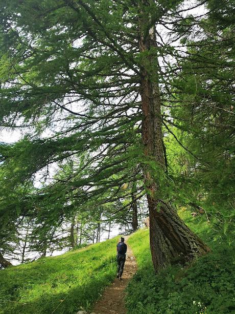 Alpes Suizos (día 1): Circular al Grand Chavalard