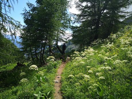 Alpes Suizos (día 1): Circular al Grand Chavalard