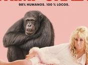 presenta nuevo trailer arte docuserie “Chimp Crazy” estrena agosto
