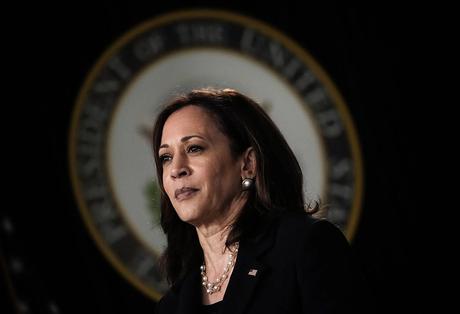 Kamala Harris y el Partido Demócrata, ante el espejo: los diez meses de masacre en Gaza