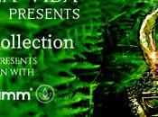 Cacao Gold Collection: Origen Misterioso Ecuatoriano Placer Transformación Joyas Lujo”