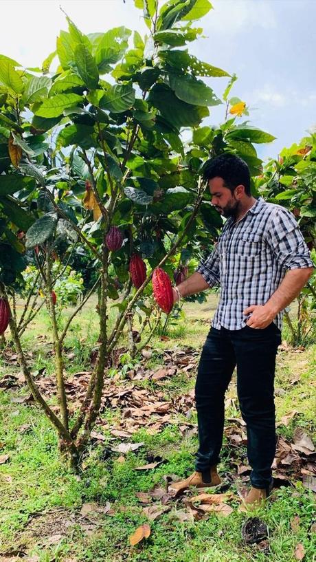 Cacao Gold Collection: “El Origen Misterioso del Cacao Ecuatoriano y el Placer de su Transformación en Joyas de Lujo”