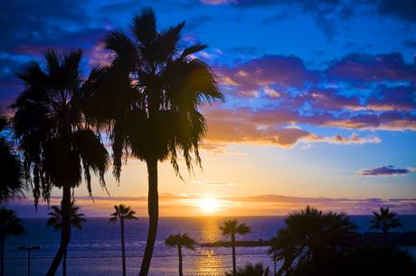 Buceo en Gran Canaria – Los 6 mejores lugares para bucear en las Islas Canarias Buceo en Gran Canaria – Los 6 mejores lugares para bucear en las Islas Canarias