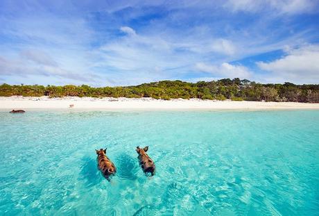 12 atracciones turísticas mejor calificadas en las Bahamas