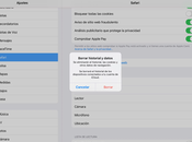 Cómo borrar historial navegación Safari para iPhone iPad