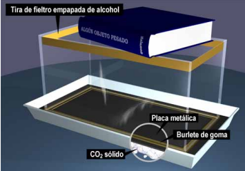 Cámara de niebla Cámara de niebla