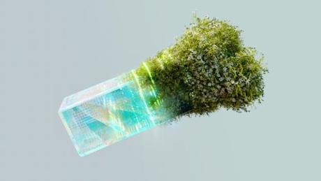 Para tu viaje de novios descubre cuál es el mejor clima según el destino y temporada Para tu viaje de novios descubre cuál es el mejor clima según el destino y temporada