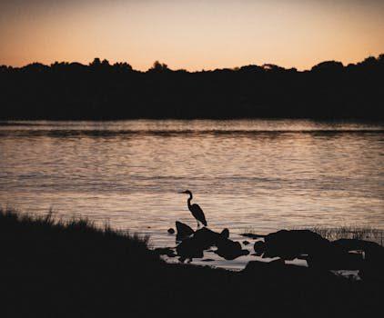 Itinerario – Noruega 360º: explorando las islas Lofoten en una semana Itinerario – Noruega 360º: explorando las islas Lofoten en una semana