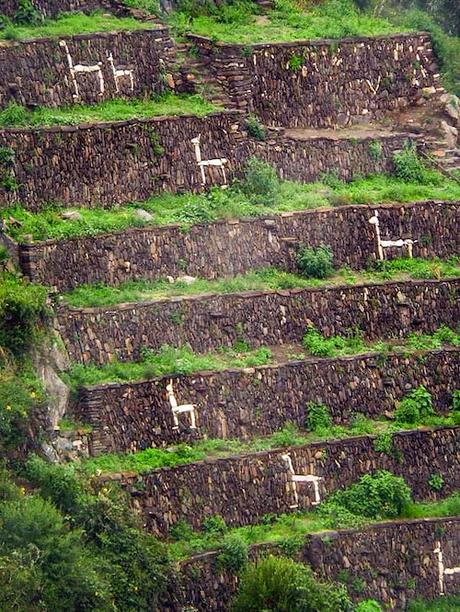 La llama en contextos históricos y geográficos