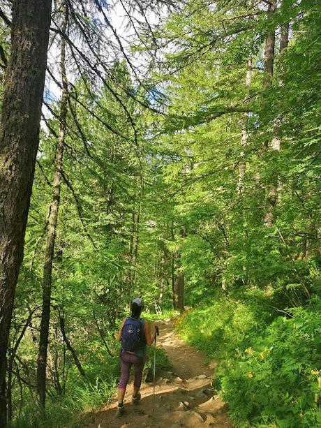 Refugio Hörnlihütte (A los pies del mítico Cervino) Refugio Hörnlihütte (A los pies del mítico Cervino)