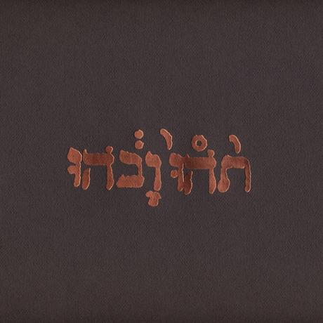 Godspeed You! Black Emperor - Slow Riot For New Zero Kanada (EP - 1999)