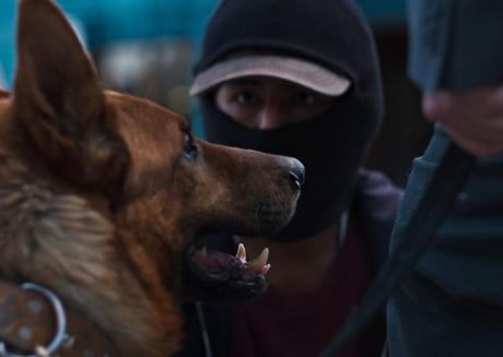 El Ladrón de Perros con Alfredo Castro se estrena el 29 de agosto af2b67fd-b04e-9590-3a91-4bee0e0f0285