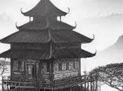 búsqueda importante