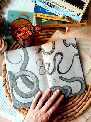 Los últimos jinetes de dragón de Bowbazar, de Indra Das