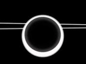 Smashing Pumpkins Sicarus (2024)