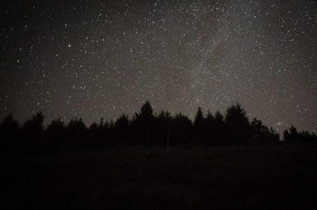 Las Perseidas alcanzarán máxima actividad este domingo