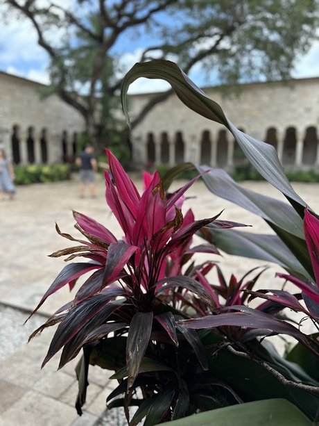 El Monasterio de Nuestra Señora, Reina de los Ángeles en Miami.
