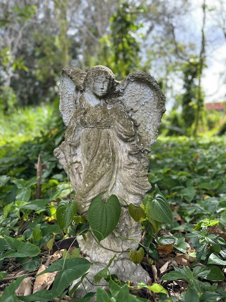 El Monasterio de Nuestra Señora, Reina de los Ángeles en Miami.