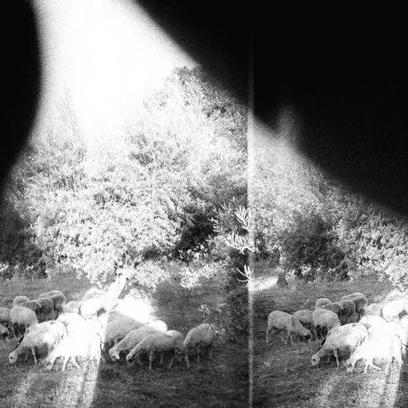 Godspeed You! Black Emperor - Asunder, Sweet And Other Distress (2015)