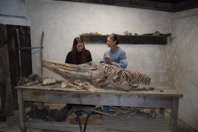 Mary Anning and the Dinosaur Hunters (2024)