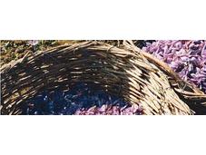 Cómo conseguir piel luminosa diez minutos