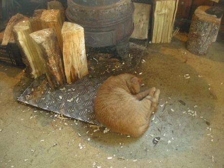 Gato al calor de la estufa