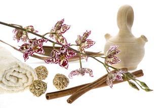 ¿Componentes Naturales? ¿Componentes Naturales?