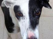 días nuestras miradas apagarán para siempre