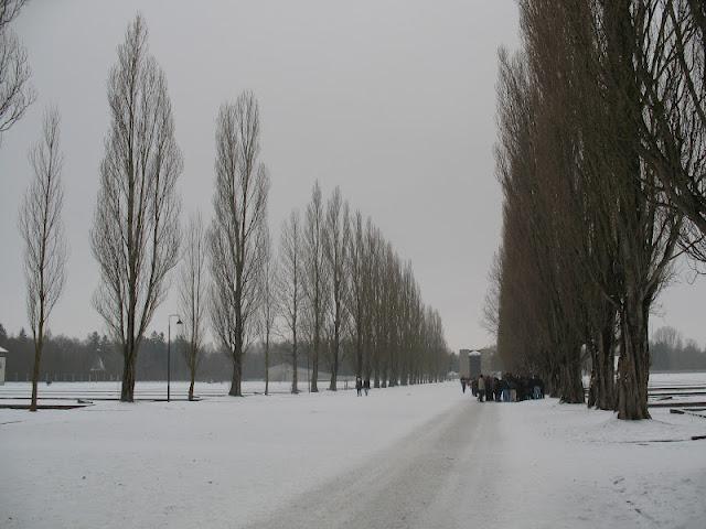 CAMPO DE CONCENTRACION DE DACHAU: LA GEOMETRIA DEL SALVAJISMO