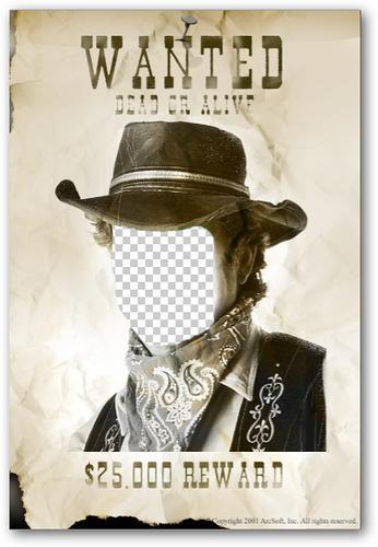 Se busca a los cuatreros del phishing; llega el superhéroe Dmarc.org