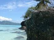Islas Seychelles