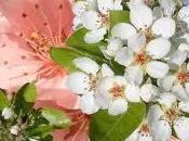 Dios hace algo nuevo nosotros