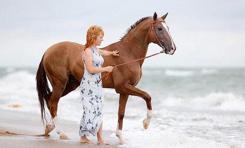 25 ejemplos de fotografías asombrosas de caballos