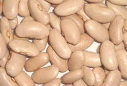 Alubias más sabrosas